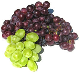 racimos de uva