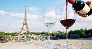 Vinos franceses: ¿Cuántos tipos de vino hay en Francia?