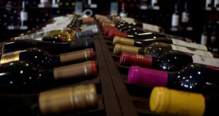 Los secretos detrás del arte de catar vinos: Guía para principiantes.