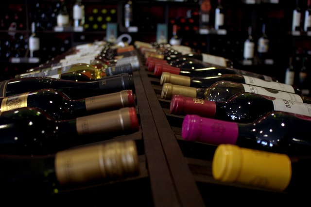 Los secretos detrás del arte de catar vinos: Guía para principiantes.